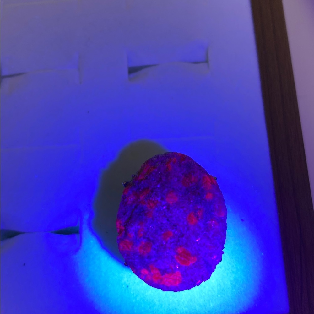 Stunning Ruby Zoisite Stone Brooch - image 3